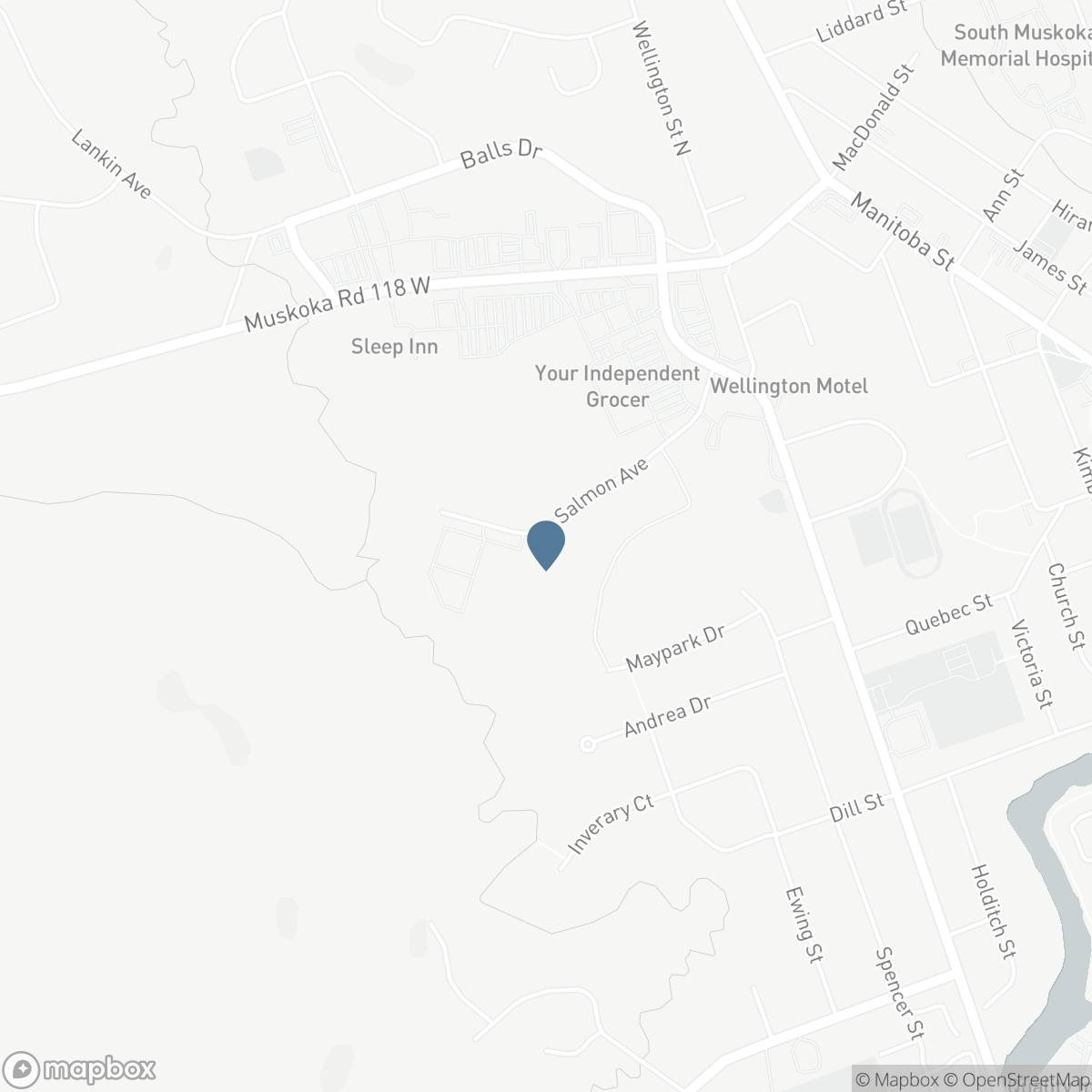 0 SALMON AVENUE, Bracebridge, Ontario P1L 1Z1